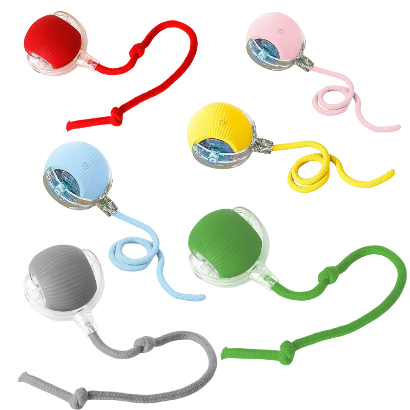 Snake Ball - Die intelligente Spielschlange