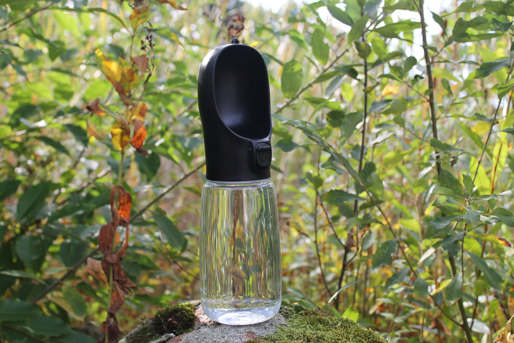 Tragbare Hundewasserflasche